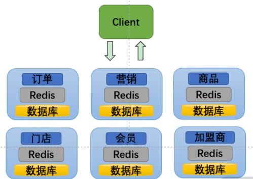 软件架构场景之 微服务的痛点