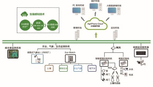 表情 微软Azure公有云专业服务案例 泽泉科技解决方案 Microsoft中国官网 表情