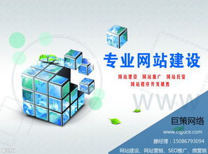 重庆专业做高档网站建设网络公司 巨策网络